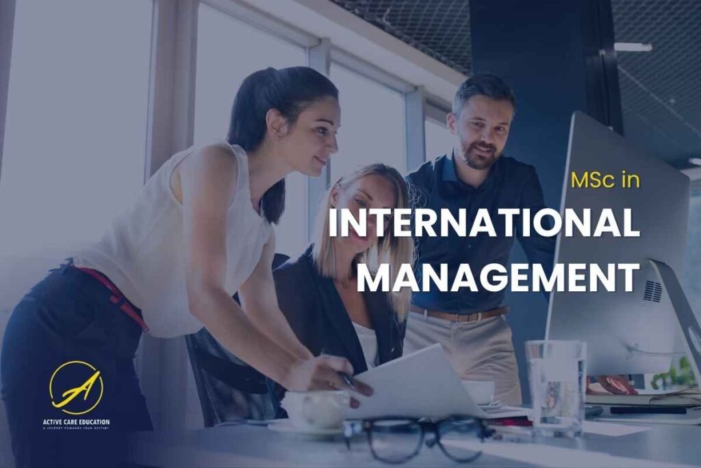 MSc International Management